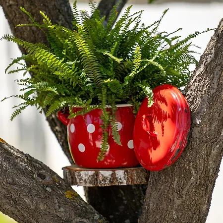 Happy Rab By Interhome